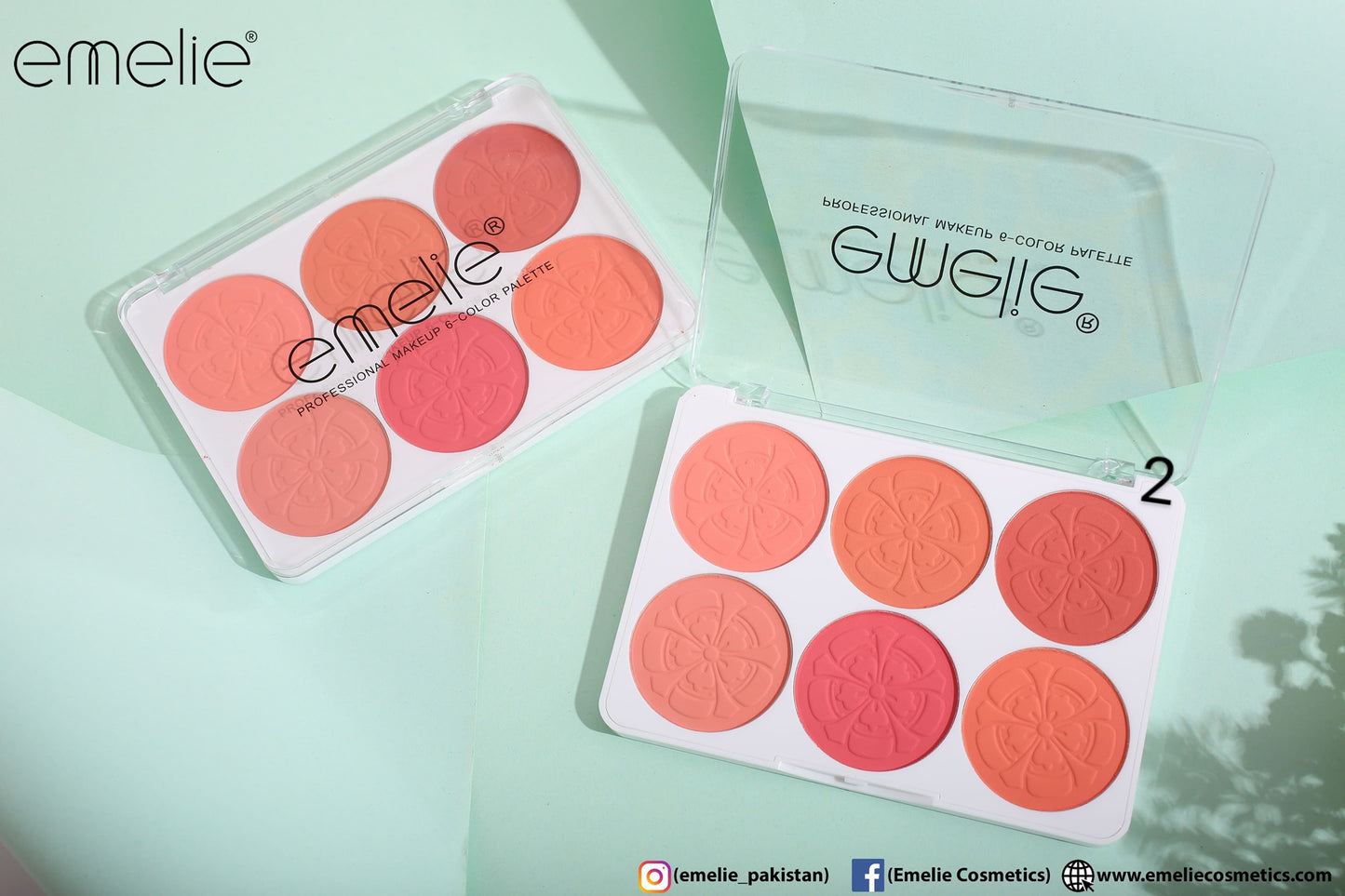 Matte Blusher 6 Color Pallete