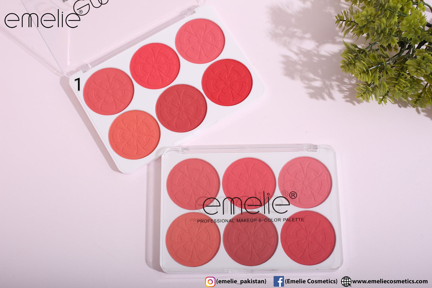 Matte Blusher 6 Color Pallete