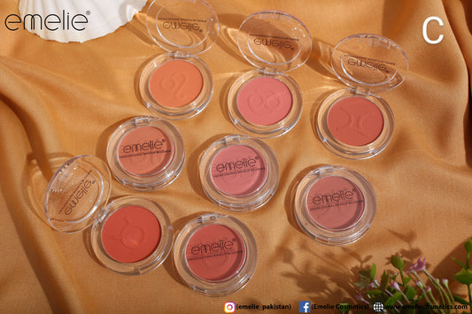 Professional Makeup Blusher - Pack of 4