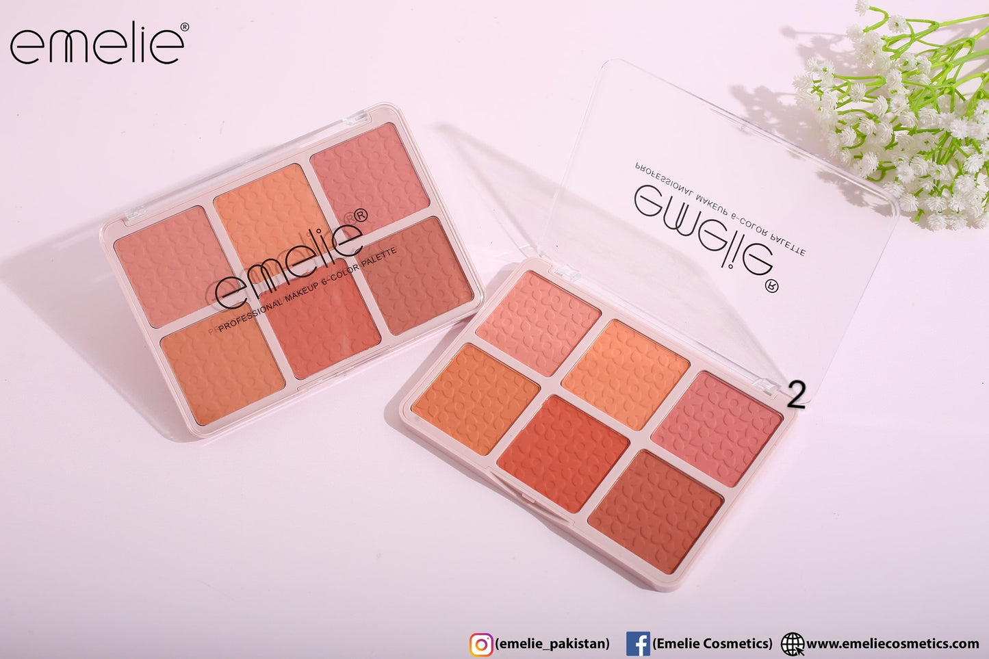 Matte Blusher 6 Color Pallete