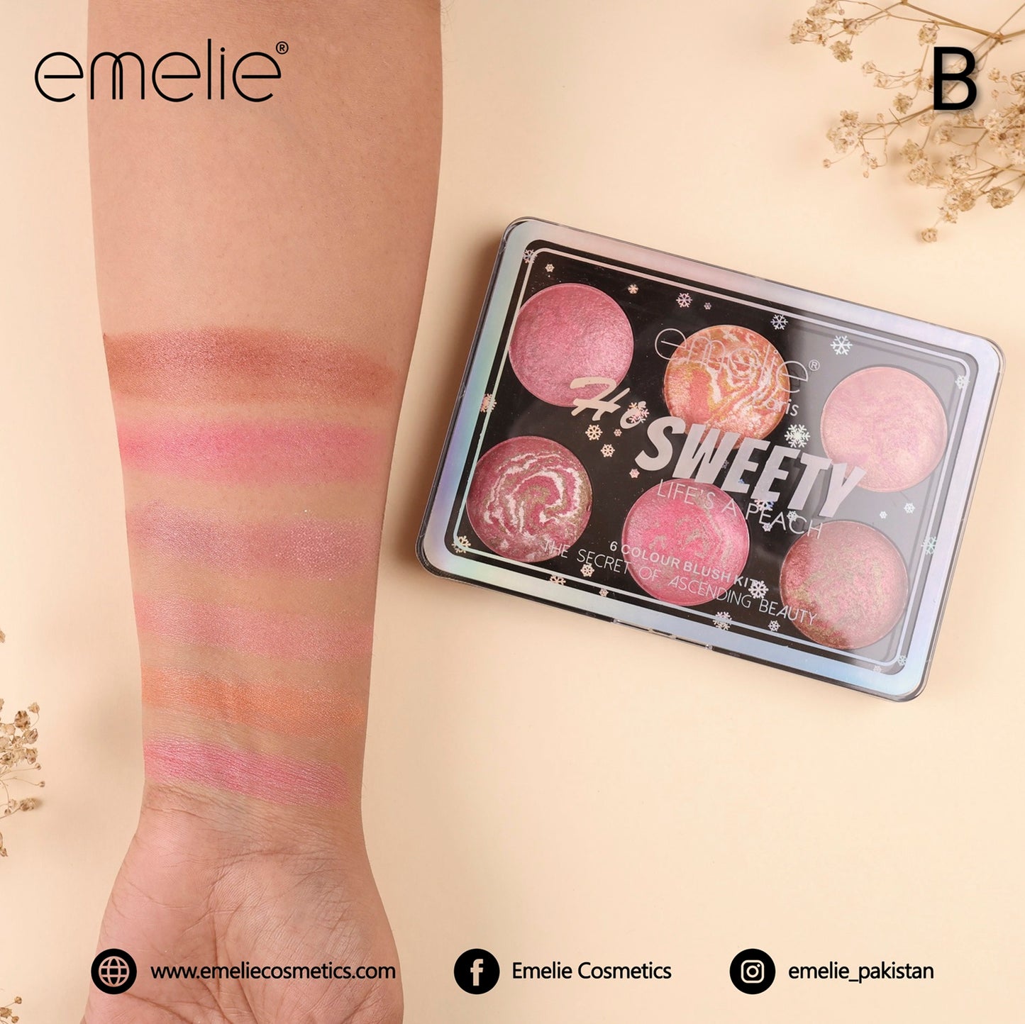 Hi SWEETY LIFE'S A PEACH – 6 Colour Baked Blush Kit