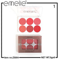 Matte Blusher 6 Color Pallete