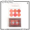 Matte Blusher 6 Color Pallete