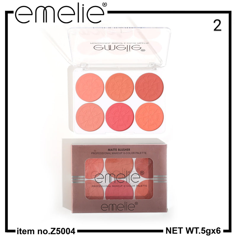 Matte Blusher 6 Color Pallete