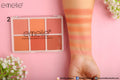 Matte Blusher 6 Color Pallete