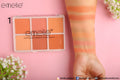Matte Blusher 6 Color Pallete