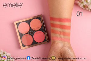 Professional Makeup 4 Color Palette feature 2