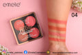 Professional Prestige Luminous Matte Blusher