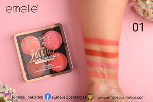 Professional Prestige Luminous Matte Blusher feature 2