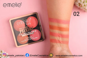 Professional Prestige Luminous Matte Blusher feature 3