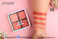 Visual Art Matte Blusher