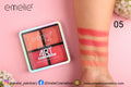 Visual Art Matte Blusher