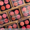 Professional Prestige Luminous Matte Blusher