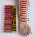 Pack of 24 Lipgloss