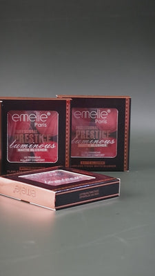 Professional Prestige Luminous Matte Blusher